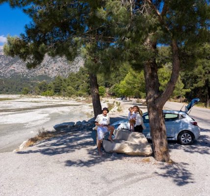 A family relaxes by a parked car under trees on a sunny day during a road trip.